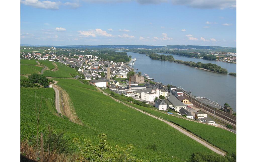 Rüdesheim von Westen aus gesehen (2005)