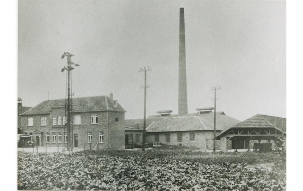 Historische Aufnahme von Gebäuden der Grafschafter Krautfabrik in Meckenheim (Ende der 1920er Jahre).