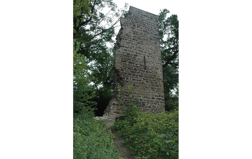 Der Kattenturm (Burg Luttelnau) in Essen Kettwig