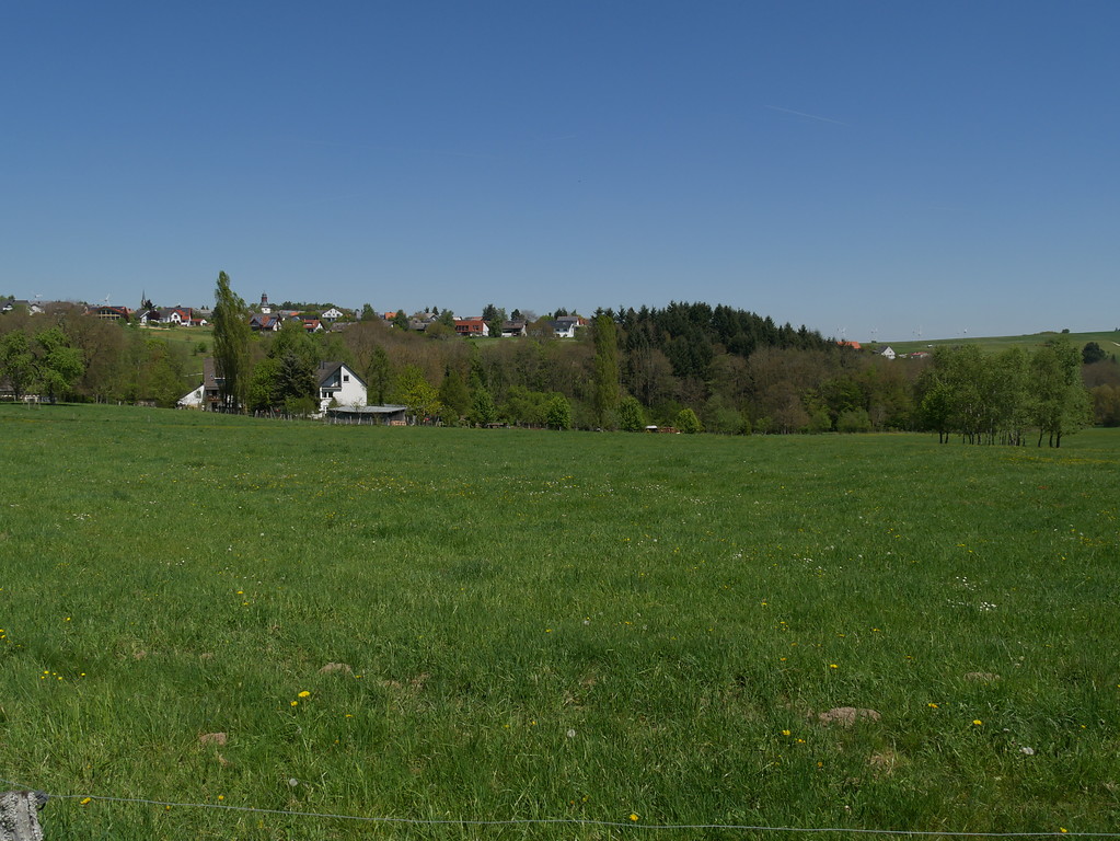 Grünlandflächen bei der Lehnmühle bei Schöneberg (2017)