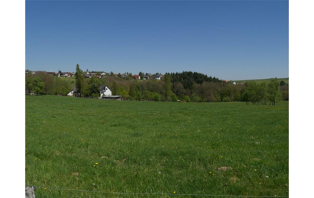 Grünlandflächen bei der Lehnmühle bei Schöneberg (2017)