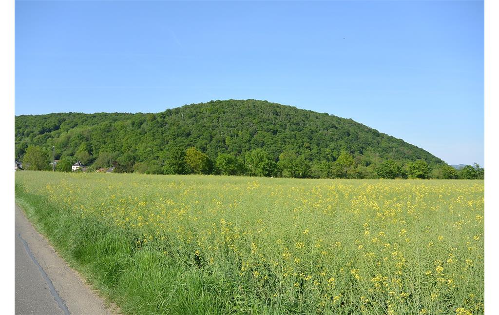 Landwirtschaftliche Flächen bei Sinzig-Bad Bodendorf (2014)