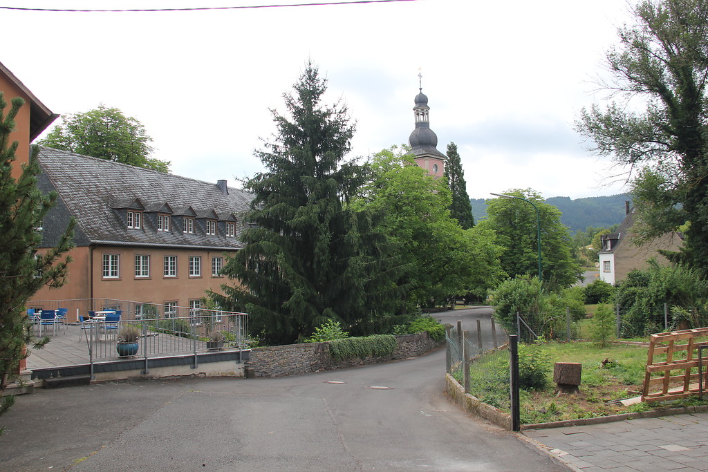 Blick auf das Klostergelände mit dem Klostergebäude und dem Kirchturm von Springiersbach (2015).
