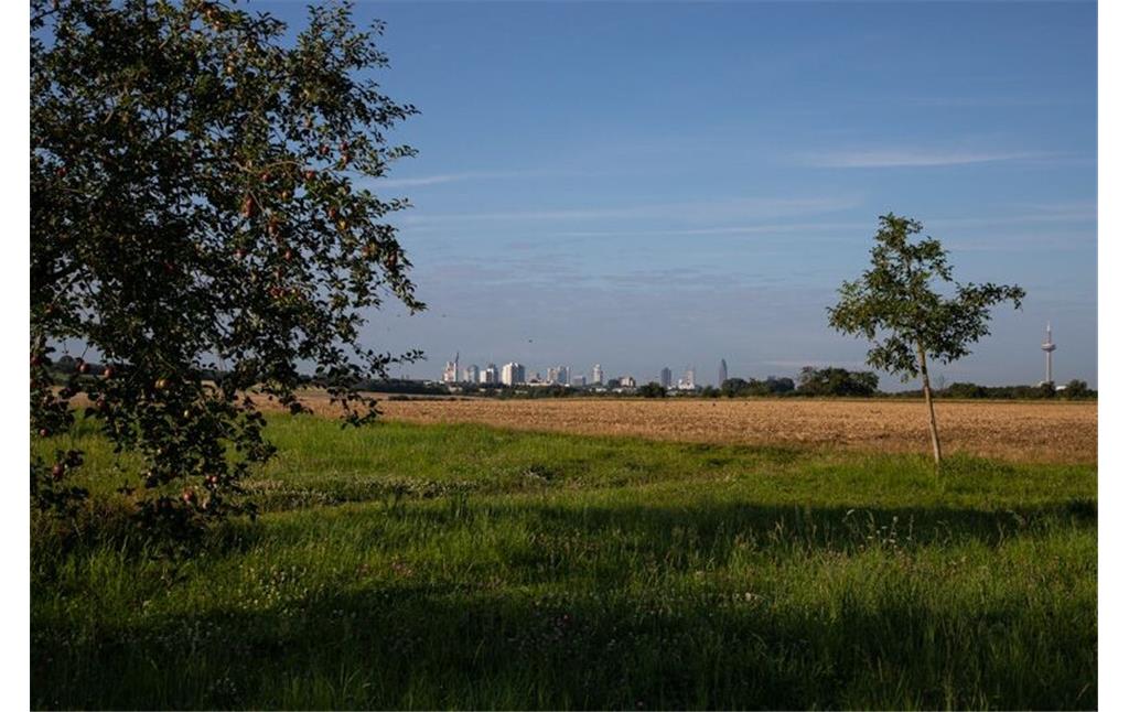 Blick auf die Frankfurter Skyline aus den Heilsberger Streuobstwiesen in Bad Vilbel (2021)