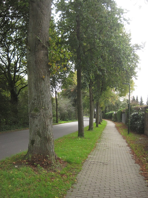 Der Fußgängerweg neben der Lindenallee am Ortseingang "Blumenkamper Straße" in Hamminkeln (2014).