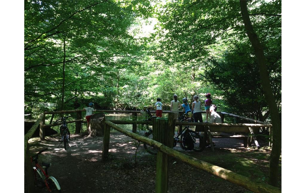 Eine Maar (Feuchtgebiet oder Stillgewässer) im Kottenforst mit einer Gruppe von Besuchern im Sommer 2013.
