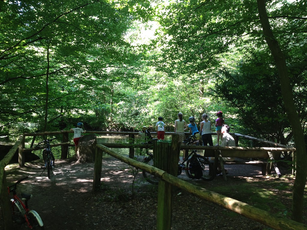 Eine Maar (Feuchtgebiet oder Stillgewässer) im Kottenforst mit einer Gruppe von Besuchern im Sommer 2013.