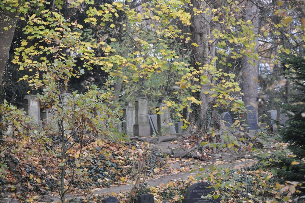 Jüdischer Friedhof in der Heinrichstraße (2011)