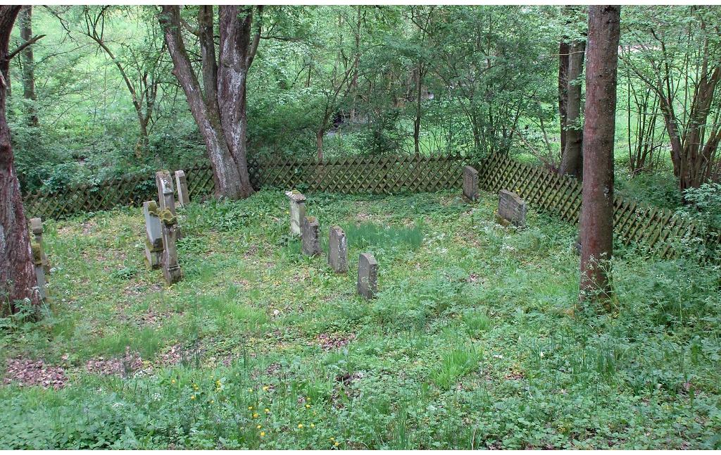 Jüdischer Friedhof Unterm Bingelsberg in Dörrebach (2016), westlicher Teil des Gräberfelds.