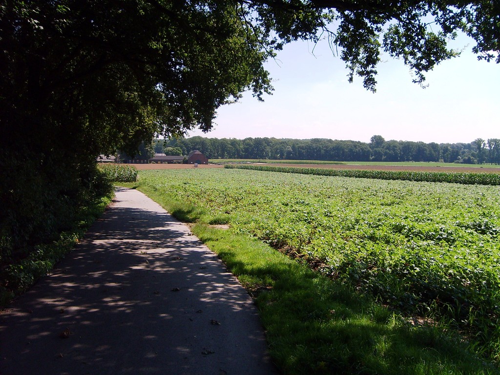 Ackerflächen beim Scholtenhof in Uedem-Uedemerfeld (2011).