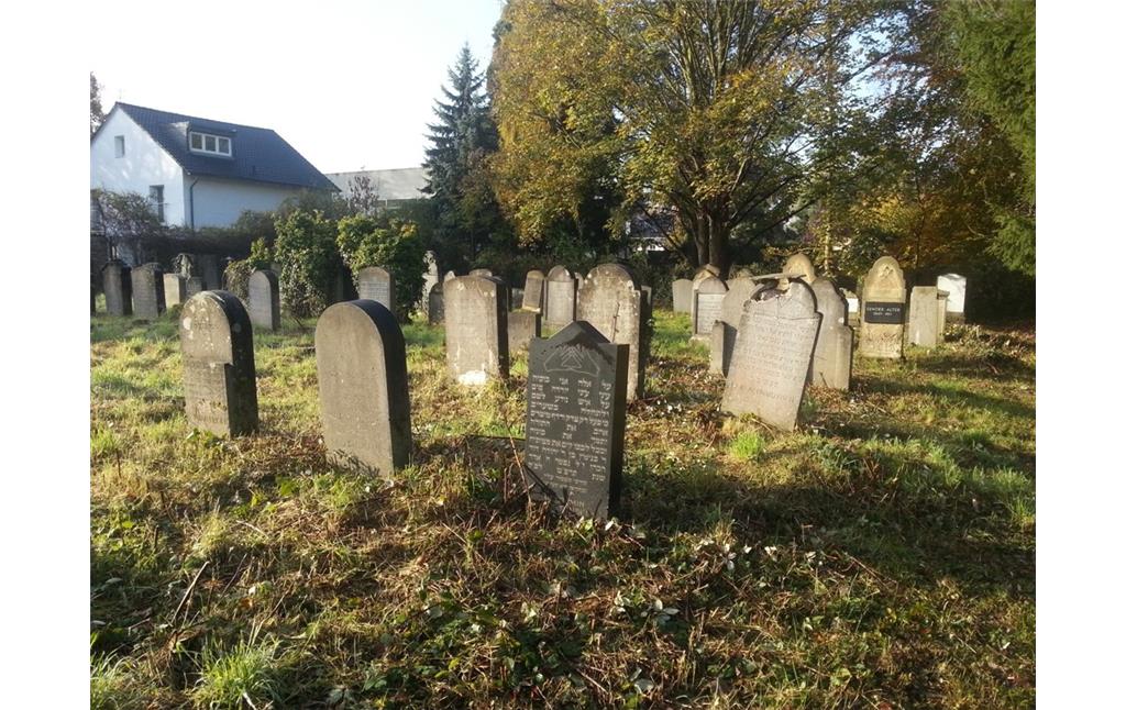 Gräberfeld auf dem jüdischen Friedhof in Deckstein, Köln-Lindenthal (2013)