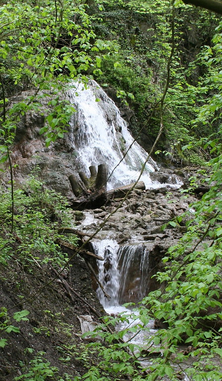Laubach-Wasserfall (2012)