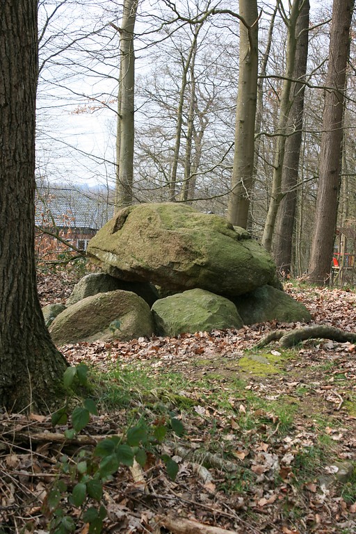 Großsteingrab im Kurpark Albersdorf (2019)