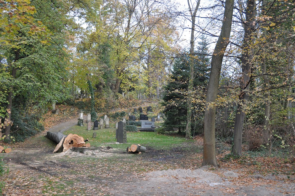 Der jüdische Friedhof in der Heinrichstraße in Siegburg. Da das Gelände nicht frei zugänglich ist (2011), wurde das Foto von der Straßenseite aus einiger Entfernung aufgenommen.