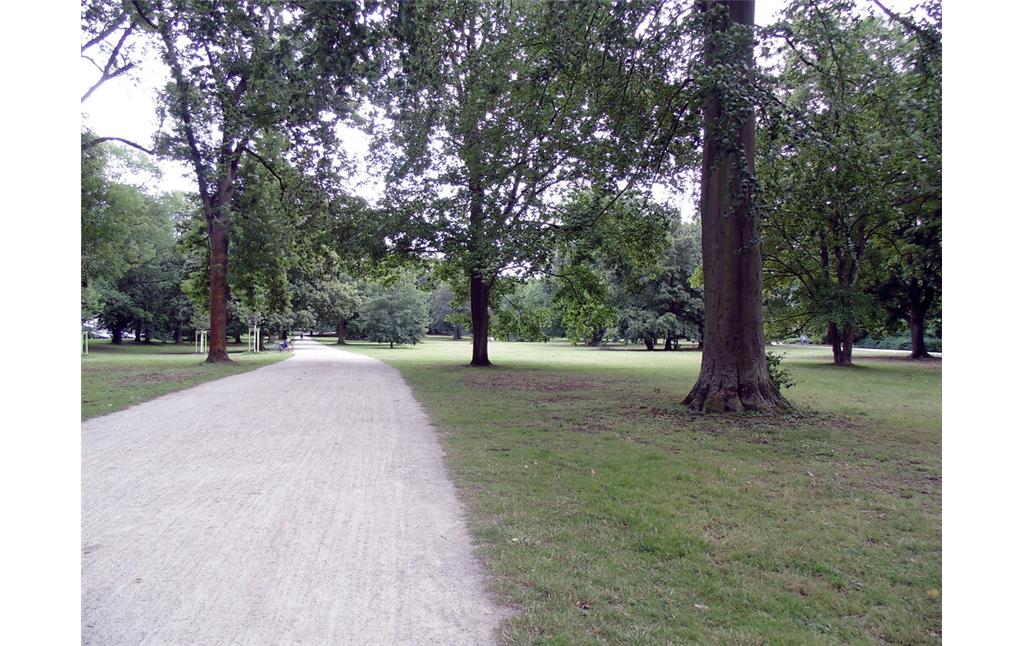 Ein Weg im Stadtwald in Köln-Lindenthal (2020).
