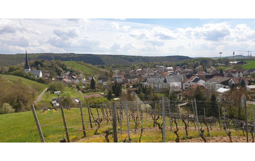 Blick auf die Ortsgemeinde Waldlaubersheim von der Anhöhe Altenburg aus (2021)