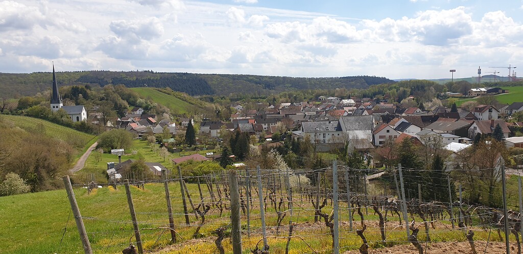 Blick auf die Ortsgemeinde Waldlaubersheim von der Anhöhe Altenburg aus (2021)
