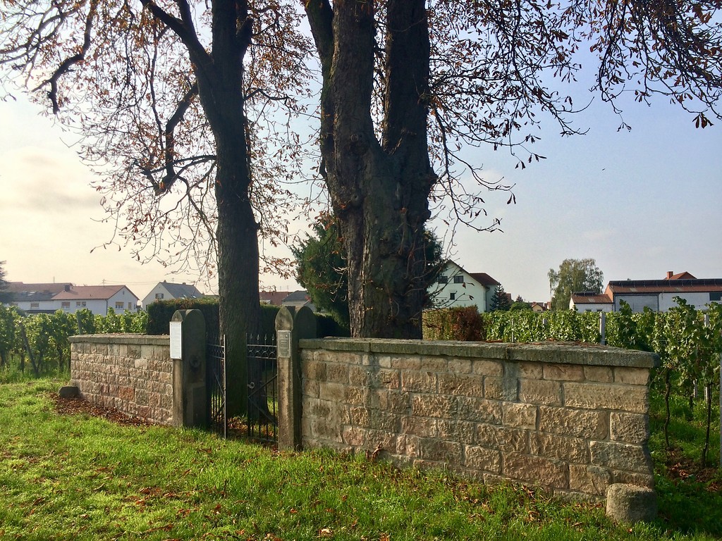 Jüdischer Friedhof Kirrweiler (2017)