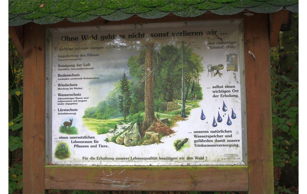 Informationstafel "Ohne Wald geht es nicht, sonst verlieren wir..." im Wohnungwald in Voerde (2014).