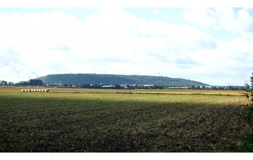 Vollrather Höhe bei Grevenbroich, eine Abraumhalde des früheren Braunkohletagebaus Frimmersdorf-West (2014).