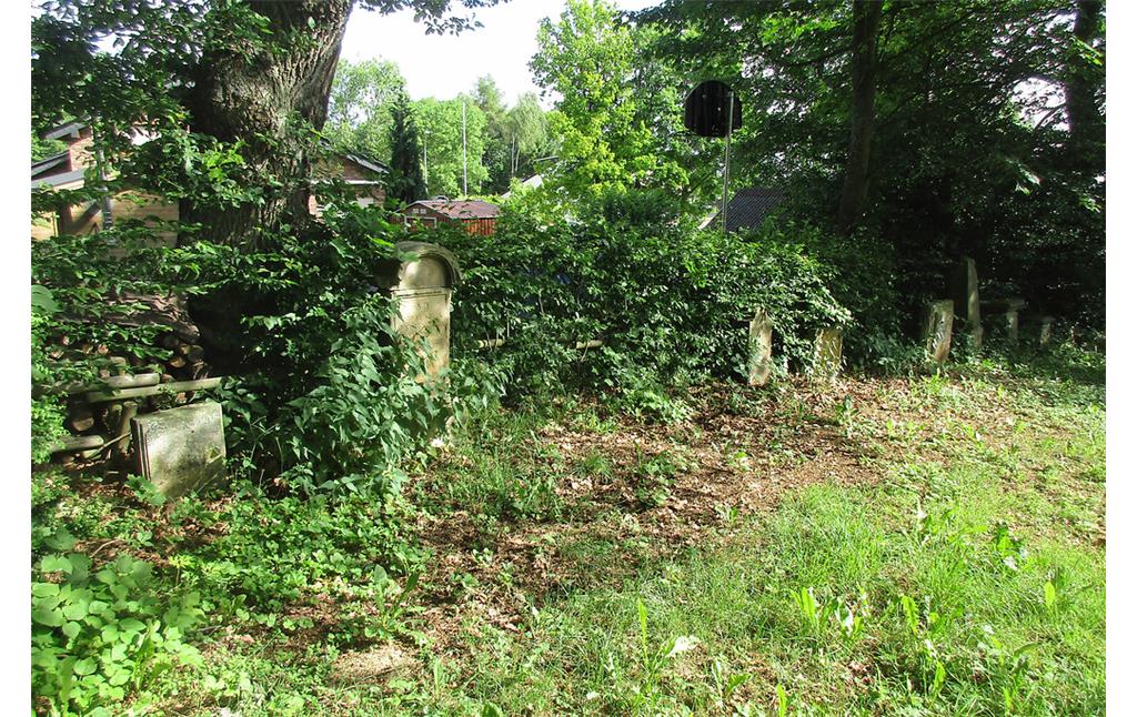 Allmählich zuwucherndes Gräberfeld auf dem jüdischen Friedhof in Hürtgenwald-Gey (2017).