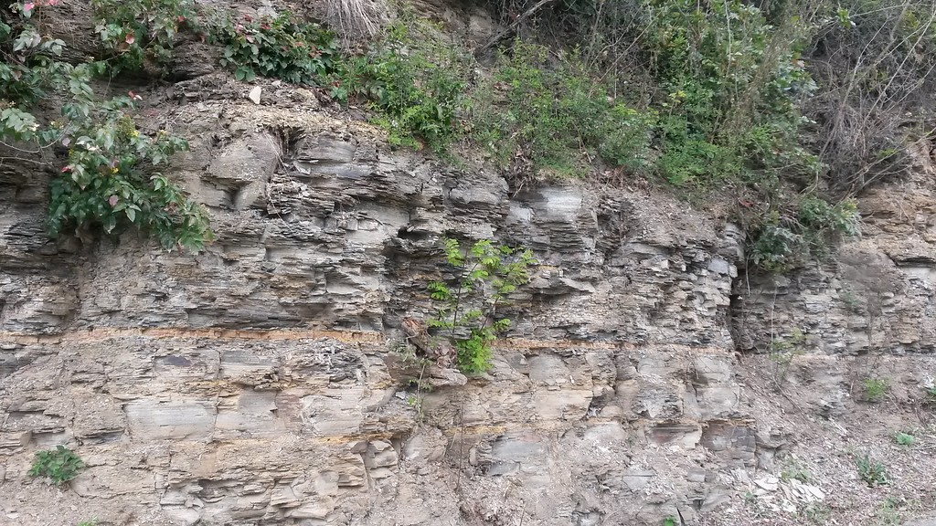 Detailansicht Ansicht der geologischen Formation "Rehborn-Bank" in Rehborn am Glan (2017).