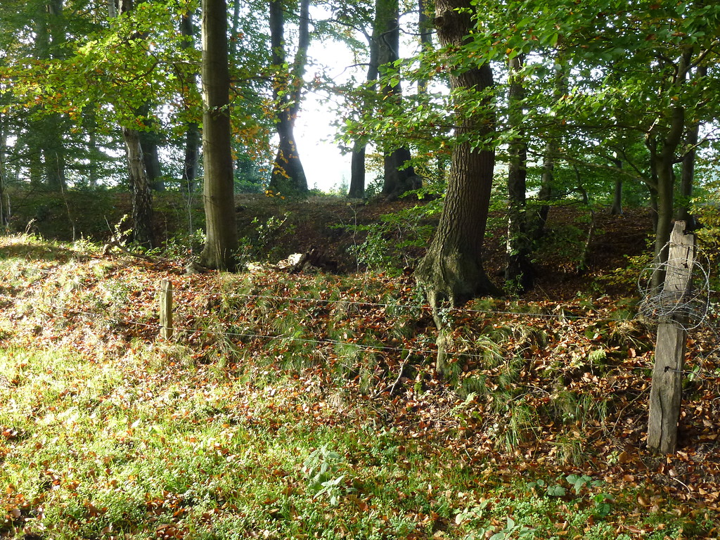 Weseler Landwehr südöstlich des Dämmerwaldes (2012); zu erkennen ist der äußere Wall mit anschließendem Graben und dem mittleren Wall.