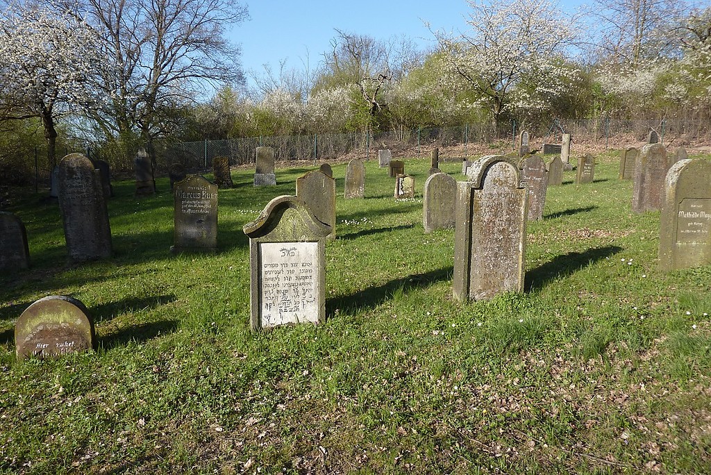 Blick auf das Gräberfeld des jüdischen Friedhofs in Andernach-Miesenheim (2010)