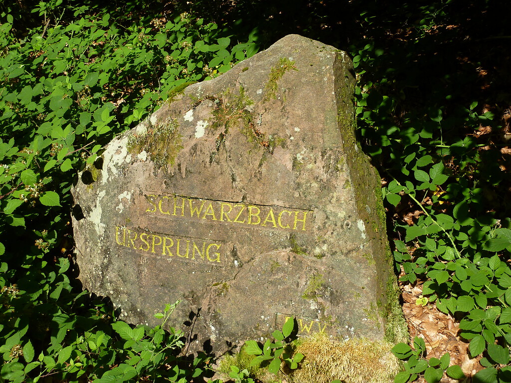 Ritterstein Nr. 245 Schwarzbach Ursprung südwestlich von Johanniskreuz (2013)