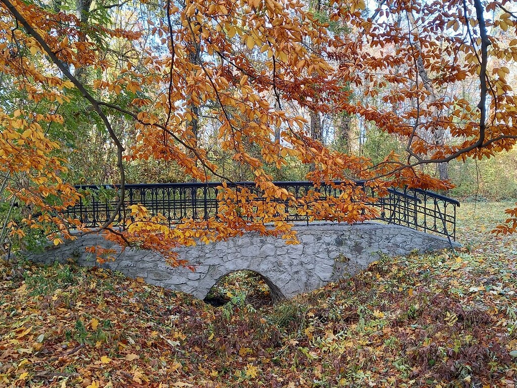 Bridge by the Main alley of Arboretum Oleksandriya in Bila Tserkva (2021)