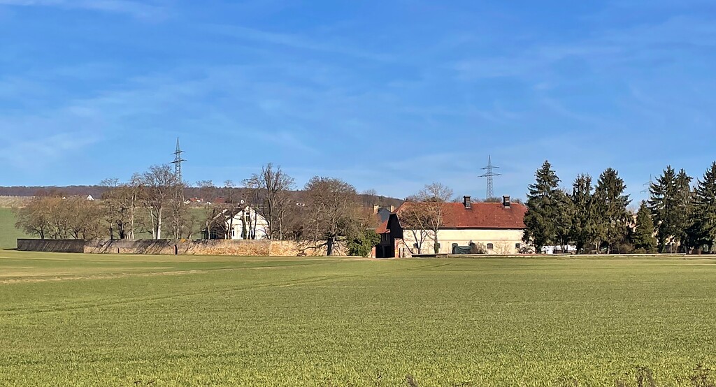 Steinheimer Hof (2021)