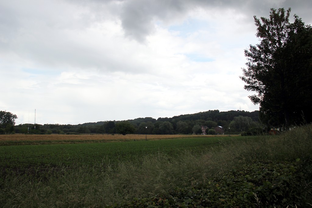 Ackerland westlich der Baalsbrugger Mühle (2016)