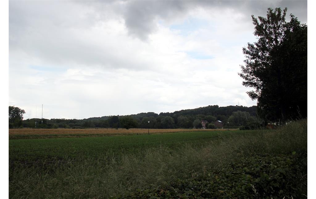 Ackerland westlich der Baalsbrugger Mühle (2016)