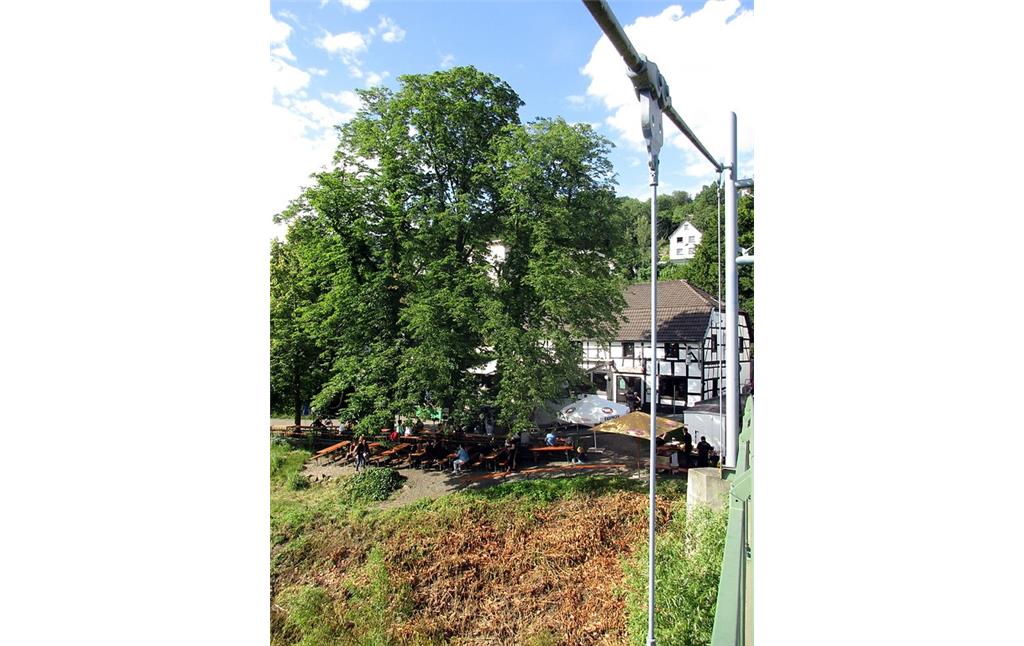 Blick auf den namensgebenden Lindenbaum am Ausflugslokal "Sieglinde" in Hennef-Weingartsgasse, Ansicht von der Siegbrücke aus (2016).