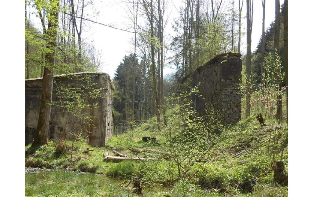 Ruinen der früheren Pulvermühle im Elisenthal bei Windeck (2013)