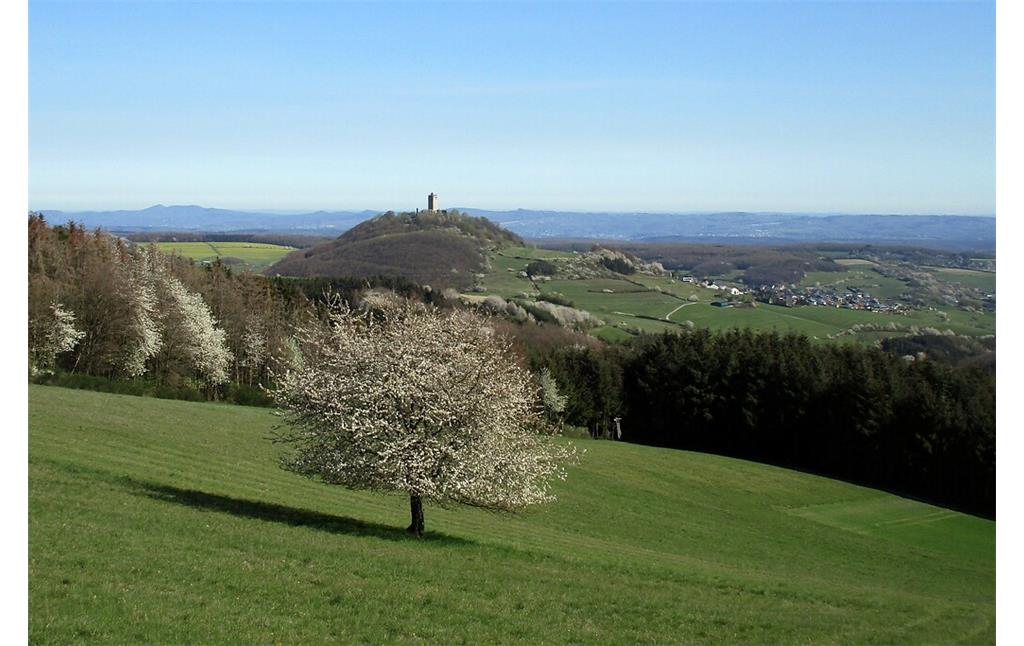 Blick aus südwestlicher Richtung auf den Burgberg und die Ruine der Burg Olbrück bei Niederdürenbach-Hain (2020).