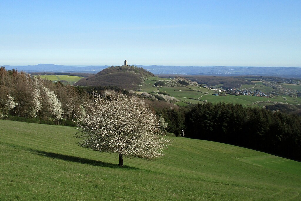 Blick aus südwestlicher Richtung auf den Burgberg und die Ruine der Burg Olbrück bei Niederdürenbach-Hain (2020).