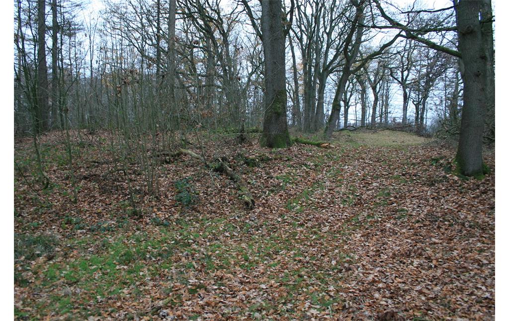 Motte Marienburg bei Tensbüttel-Röst - Gräben und Erdwälle (2018)