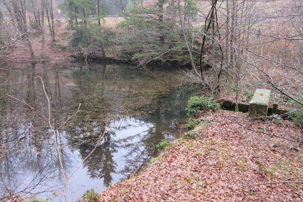 Mühlwoog mit Auslauf- und Dammbereich am Wellbach