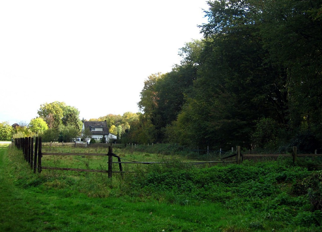 Der Huckelshof in Forstwald (2011)