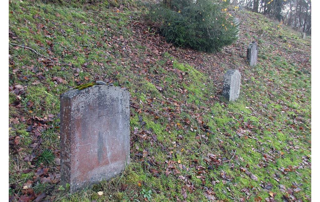 Grabsteine auf dem jüdischen Friedhof am Ruppenberg in Schleiden (2016)