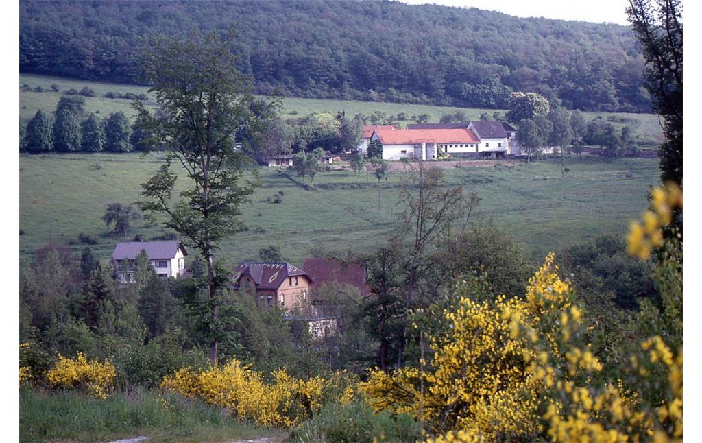 Blick auf den oberern Weinberger Hof in Dörrebach (1991)