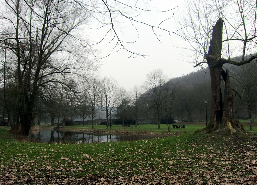 Klosterteich im Norden der ehemaligen Zisterzienserabtei Altenberg (2012)