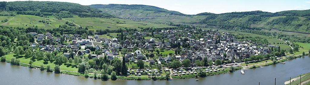 Panoramaansicht der Ortsgemeinde Pünderich, einer vom Weinbau geprägten Gemeinde (2009).