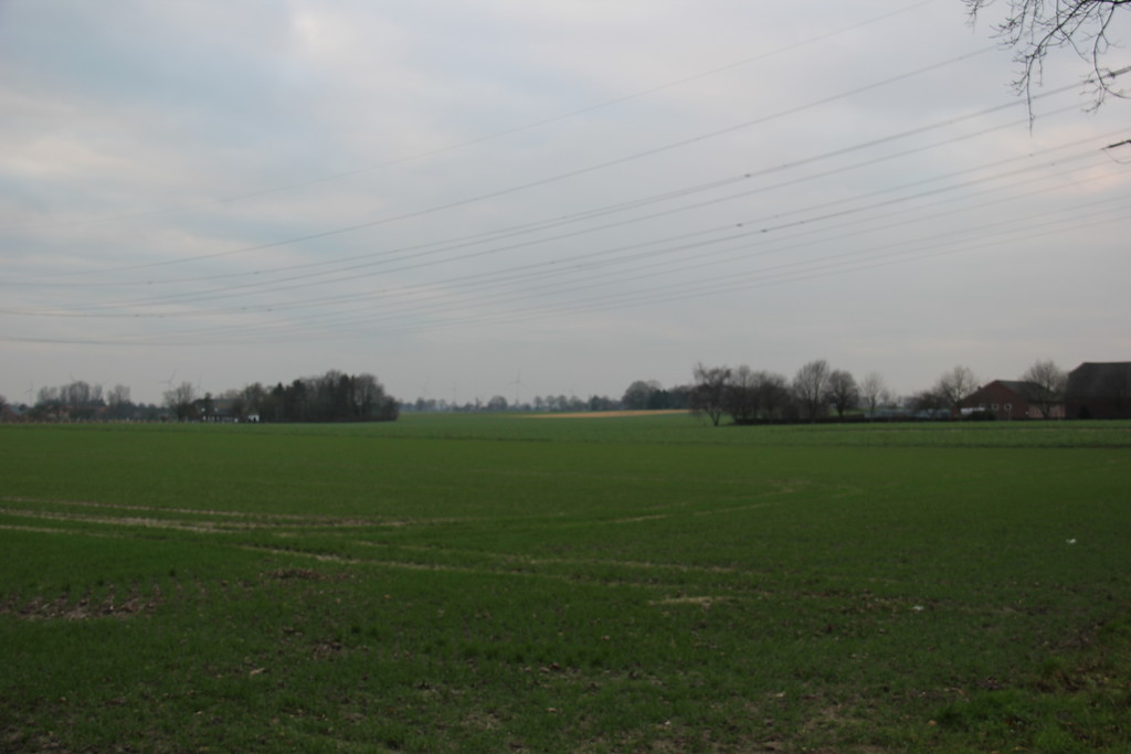Landwirtschaftliche Nutzflächen von Neulouisendorf (2013)