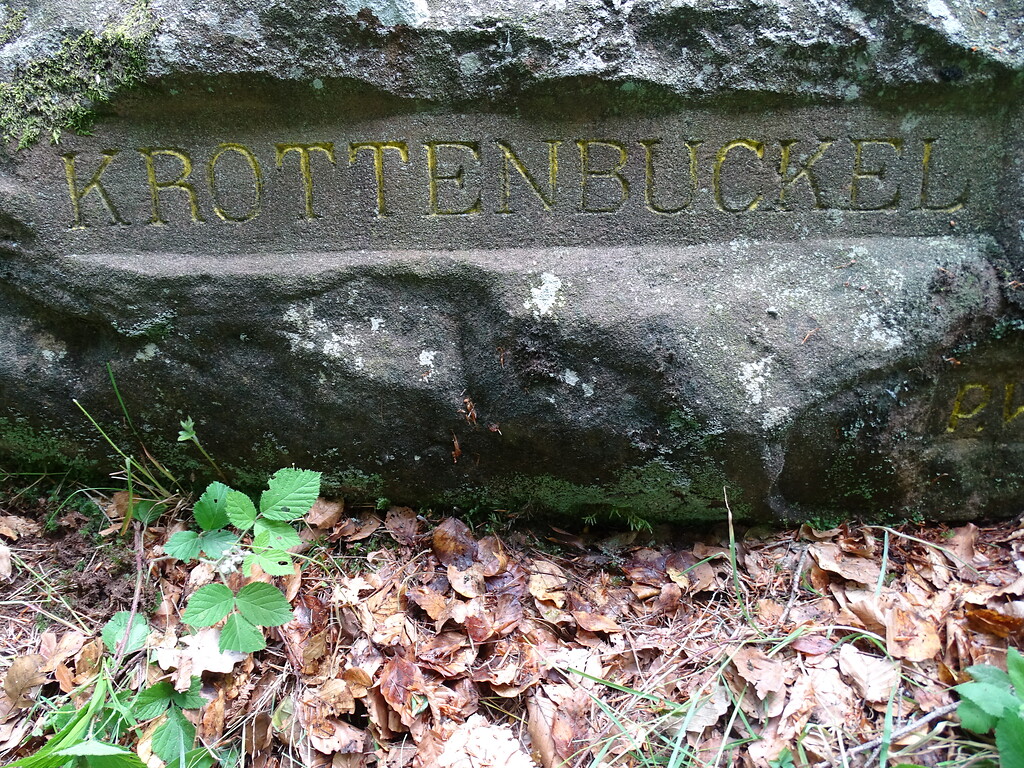Ritterstein Nr. 128 "Krottenbuckel" südöstlich von Waldleiningen (2019)
