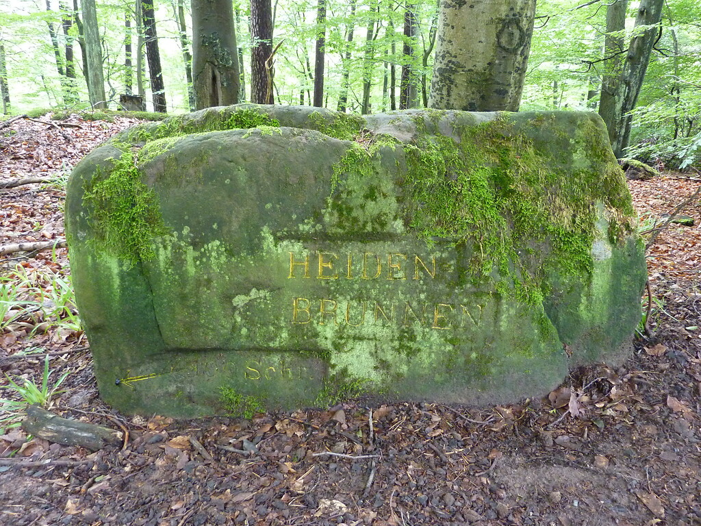 Ritterstein Nr. 142 Heiden=Brunnen 100 Schr. nordwestlich von Esthal (2014)