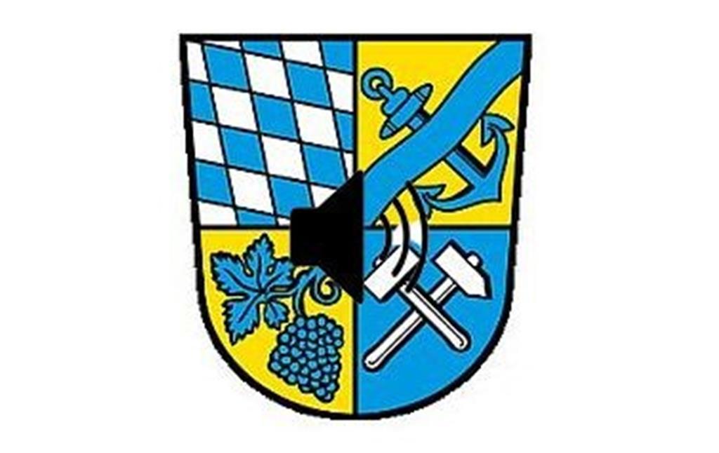 Wilfried Radloff erzählt über das Wappen der Stadt Kaub (2023)