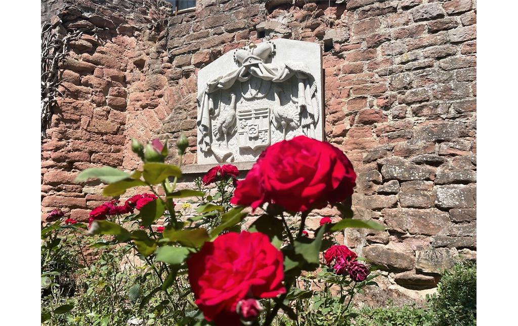 Blick in die Ruine des alten Schlosses in Bretzenheim mit dem Relief des Wappens des Reichsfürsten Karl August (2022)