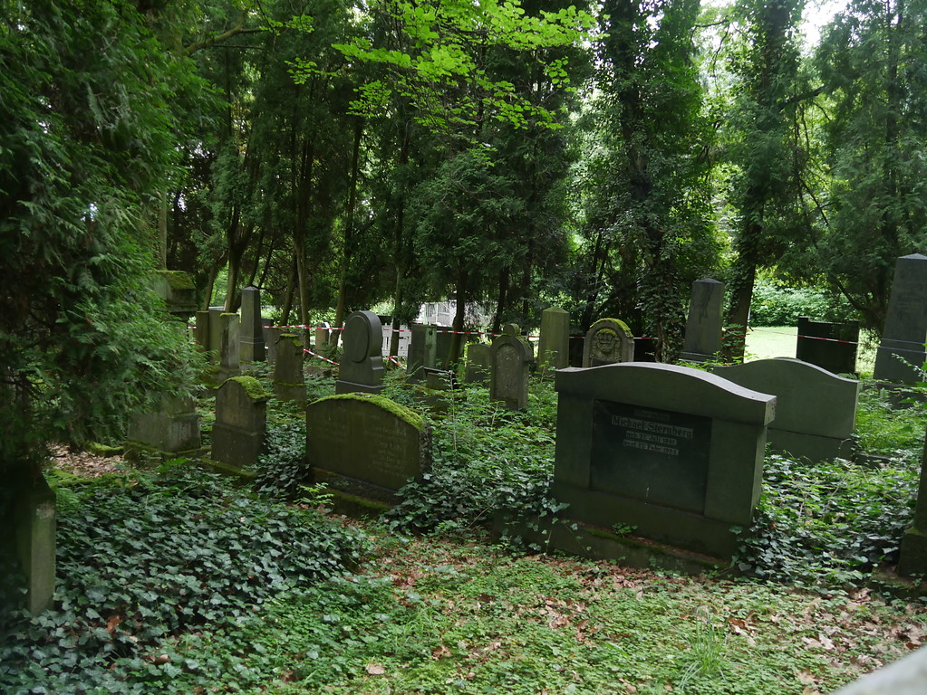Westansicht des jüdischen Friedhofs am Schafsberg in Limburg (2017)